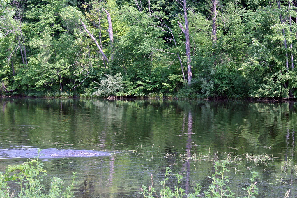 City of Belding Michigan | Home Page